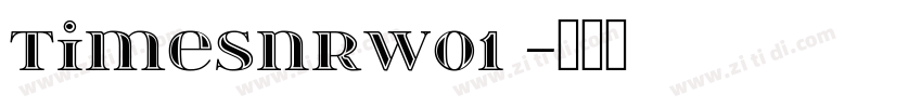 TimesNRW01 字体转换